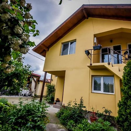 Casa Ana Villa Călimăneşti Exterior foto